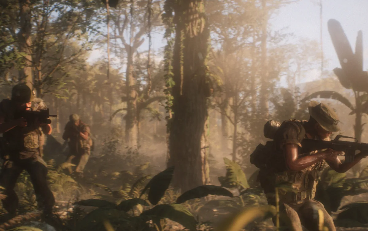Command view over a jungle sector push